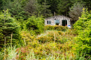 Haida Gwaii Beach Cabins | Love Northern BC